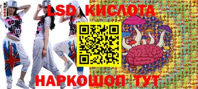 стафф Краснодар