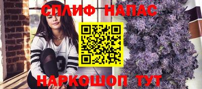 Альфа ПВП Краснознаменск